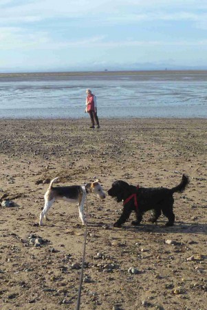 A day out on Fleetwood Beach
